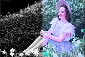 AI 黑白照片一键上色？效果比PS神经滤镜强？Picture Colorizer 3.0图片