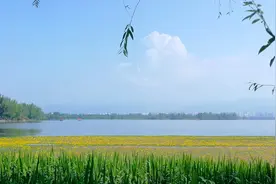 西昌学院：那些毕业就失业的学生，别再让学校背锅图片