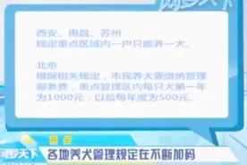 多地规定：一户只能养一犬，有些地区还要缴纳管理服务费视频封面
