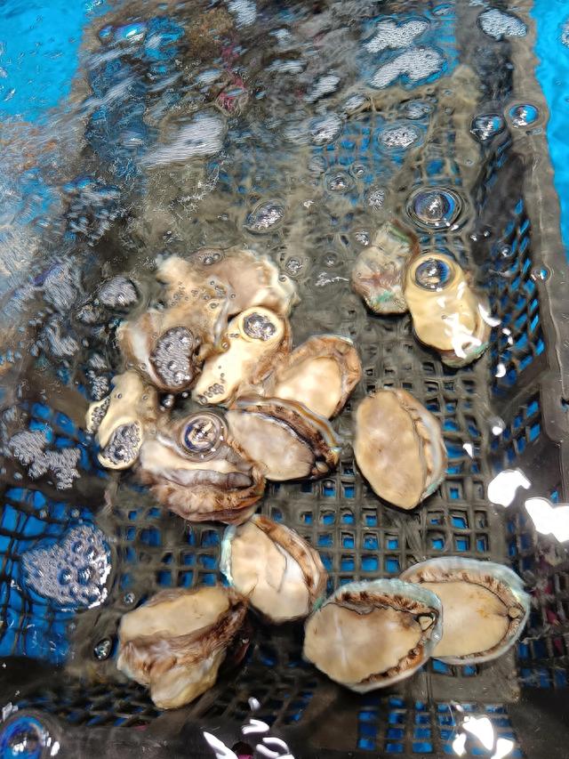 沙扒湾旅游攻略(沙爬弯)
