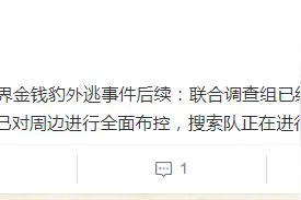 杭州金钱豹外逃事件后续：联合调查组已入驻图片