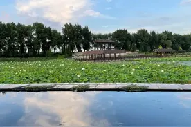 现在美术高考的弊端有哪些？问题有多严重？图片