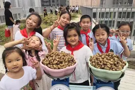 春种秋收，泉心农场分外忙——花生大丰收啦图片