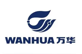 万华化学——完美逆袭的超级白马，奔驰在全球的赛场上图片