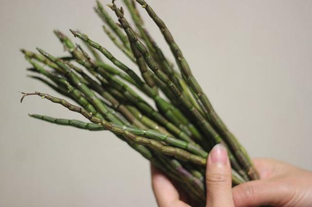 铁皮石斛适合什么人吃 2025年铁皮石斛适合什么人吃 7类人很适合