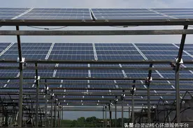 从浙北长兴到杭州湾再到东海之滨——看浙江能源主力军如何减碳图片