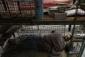 香港3500元只能租鸽子房，客厅住下22人，共用一个卫生间图片