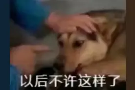 表情包：只要我跑的够快，寂寞就追不上我图片