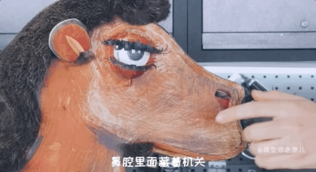 骆驼的驼峰竟然不是用来存水的？那它靠啥在沙漠里笑嘻嘻？