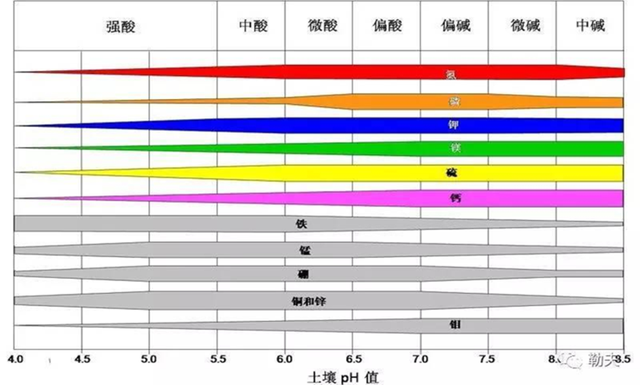鑺辩敓缂洪搧鎬ч粍鍖栧師鍥犲垎鏋愪笌瀵圭瓥