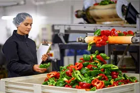 在农村办个小厂，有哪些投资小、利润大、发展前景比较好的项目？图片