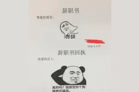 史上最“简洁”的辞职信：一个表情包表达全部，图四细思极恐图片