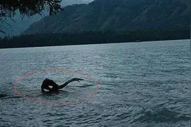 神反转！三峡大坝“水怪”终于落网，拖上岸后才知道家家都有？图片