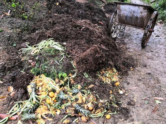 养分含量超高的营养土，自己在家也能做，省下一大笔 买花钱