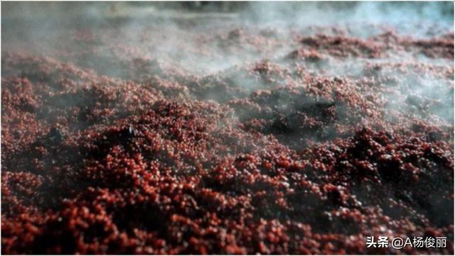 真全粮杨俊丽-堆积发酵与自然发酵的发酵技术