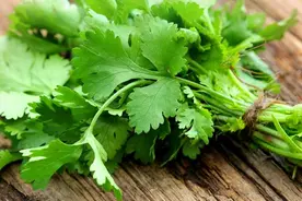 小时候明明很讨厌吃香菜，但长大后发现，怎么开始喜欢吃了呢？图片