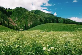 1949年建国以后收回的领土，除了香港和澳门，你还知道哪些？图片
