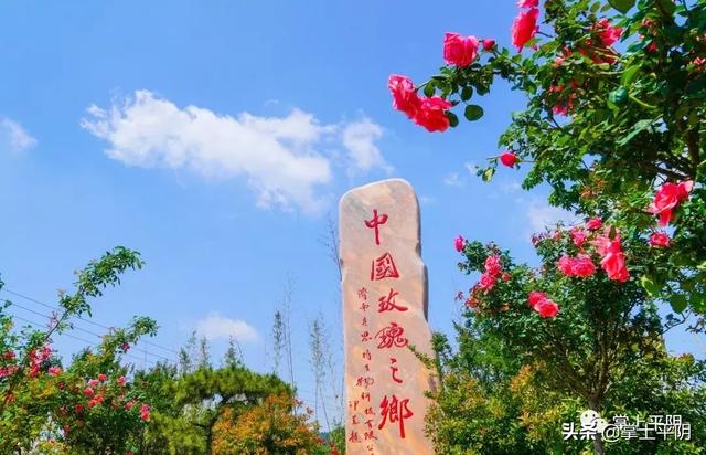 今天,平阴向全世界发出邀请!