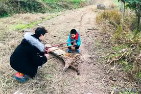 和孩子一起过一个难忘的中秋节！不是看人山人海，也不是吃月饼图片