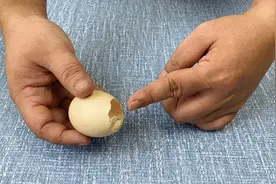 扔鸡蛋壳等于扔钱，装进一次性口罩里，作用拿钱不换，太实用了图片