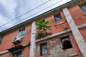 寻路 | 你住的小区，原来曾有这么多故事（上）图片