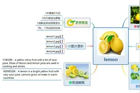 索思英语解码单词（第66个）——lemon柠檬图片