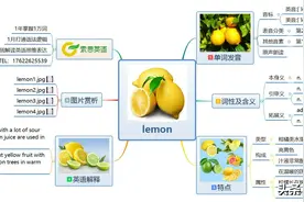 索思英语解码单词（第66个）——lemon柠檬图片