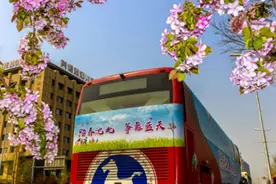 五一假期沈北新区接待游客45万人次 景区无游客超载现象图片