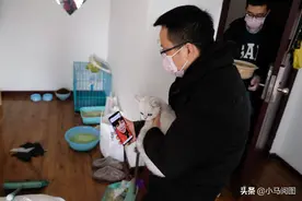 他们每天免费救数十只断粮宠物 却有人说他们收了开锁匠的回扣图片