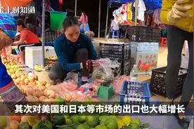 对华出口下跌29%，越南借泰国市场推销水果，供应量暴涨2倍视频封面