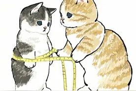 猫咪减肥记，先量三围后上秤，噗~结果太搞笑图片