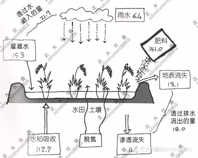 土壤中的氮循环