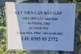 藏富于民，熊大在越南带你了解真实的越南农村图片