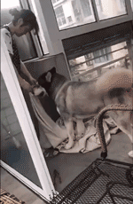 开心一刻｜一个人容易想太多，想太多容易一个人