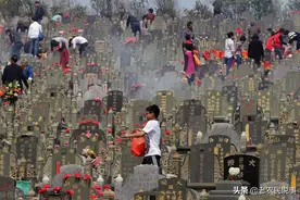 农村俗语：不怕门前现方塘，就怕坟头垂柳粗，啥意思？有道理吗？图片