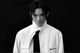 同是向华强之子，为何向佐获5亿资金出道，向佑锒铛入狱无人问津图片