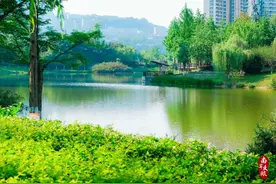 自在南岸 | 神兽过节倒计时！这份遛娃攻略赶紧收好图片