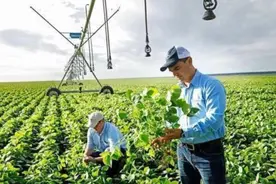 “邪恶巨头”孟山都：研究转基因、致癌除草剂，企图控制世界粮食图片