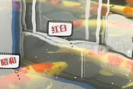 整容届玩出新花样！为了美，锦鲤也要微“整形”图片