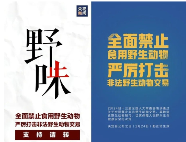 日本电影鸡皮疙瘩百度云资源