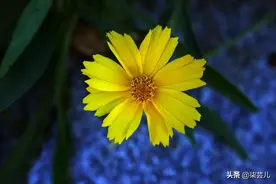 父母要66万彩礼给弟弟结婚用，5个月后问何时结婚，我：他已婚图片