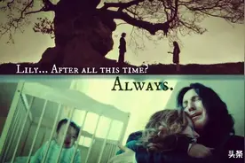 重读《哈利波特》，那些虐哭的细节图片