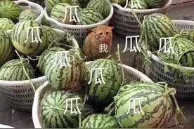 私生子女也有权利分财产，法律全解析图片