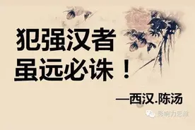 明犯强汉者，虽远必诛图片