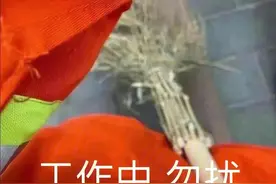 表情包：工作中，勿扰图片