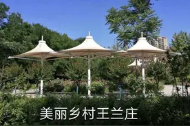 圆梦大舞台，有梦你就来图片