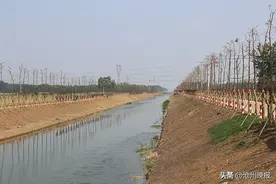 肃宁、河间、献县三县（市）引来4500万立方米“客水” 解决当地农业缺水的难题图片