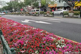深圳龙华街区新靓点：人民路颜值爆表，鲜花点缀整条道图片