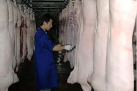买猪肉时，到底该买盖红章的还是蓝章的？为了身体健康，别买错了图片