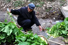 84岁大爷成分不好被诬陷坐七年牢，替别人养大儿子，现儿子咋待他图片